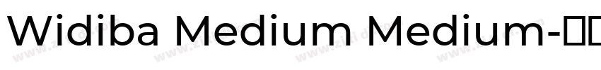 Widiba Medium Medium字体转换